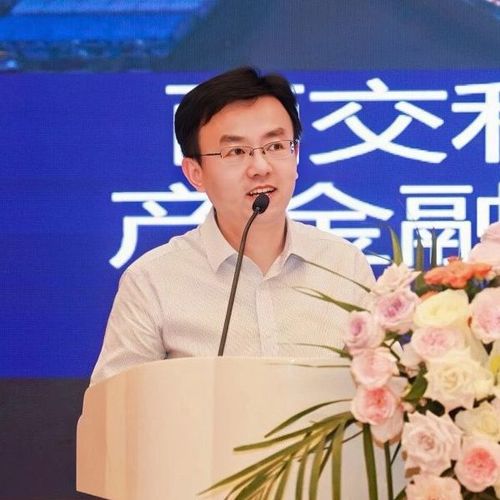 Professor Junsong Chen